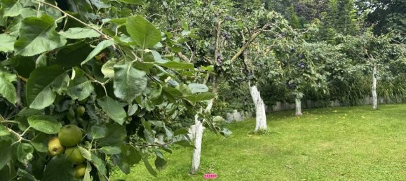 Granja de 20 habitaciónes en Dithmarschen, Germany No. 334444 23