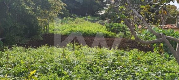 6 chambres Maison à Funchal, Portugal No. 143940 12