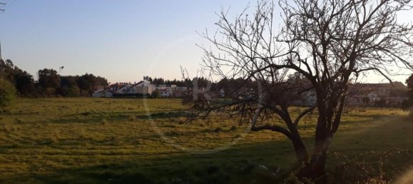 22000m² Land in Vila Nova de Gaia, Portugal No. 52503 7