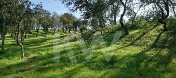 15327m² Land in Grandola, Portugal No. 60821 11