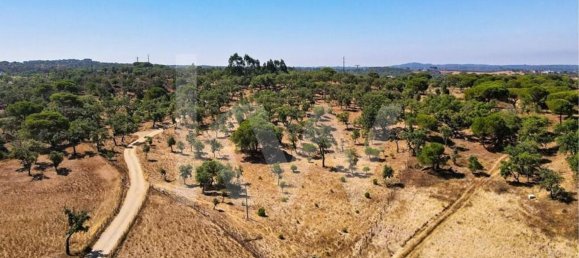 15327m² Land in Grandola, Portugal No. 60821 3