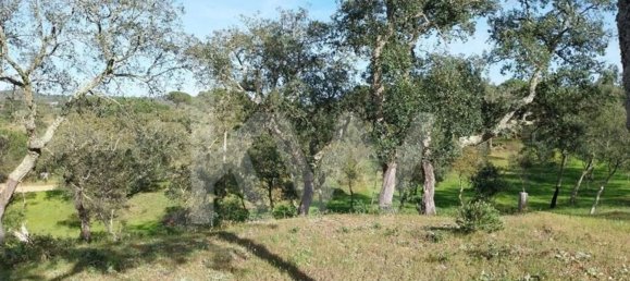 15327m² Land in Grandola, Portugal No. 60821 10