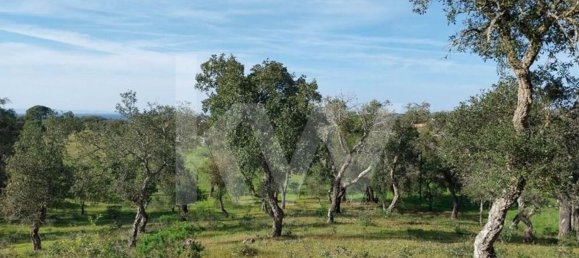 15327m² Land in Grandola, Portugal No. 60821 4