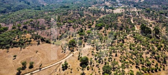 15327m² Land in Grandola, Portugal No. 60821 5