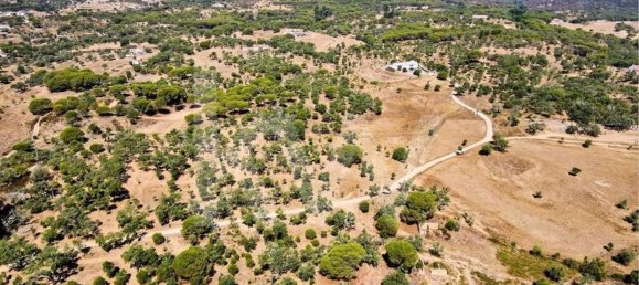 15327m² Land in Grandola, Portugal No. 60821 6