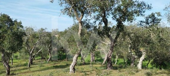 15327m² Land in Grandola, Portugal No. 60821 2