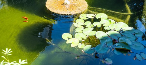 Квартира с 1 спальней в Diepholz, Германия № 336557 18