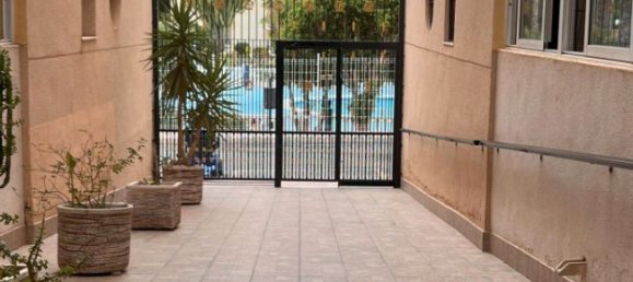 3 bedrooms Apartment in Torrevieja, Spain No. 103038 17