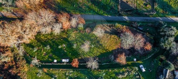 Grundstück in Viseu, Portugal 1250m², Nr. 91744 14