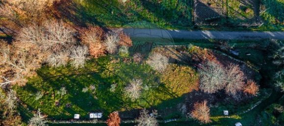 Grundstück in Viseu, Portugal 1250m², Nr. 91744 18