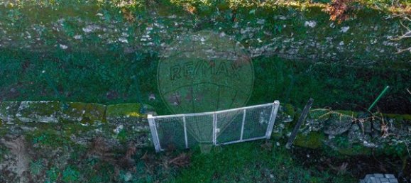 Grundstück in Viseu, Portugal 1250m², Nr. 91744 17