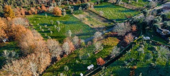 Grundstück in Viseu, Portugal 1250m², Nr. 91744 10