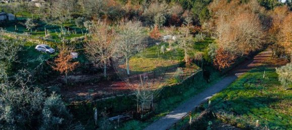 Grundstück in Viseu, Portugal 1250m², Nr. 91744 4