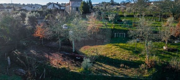 Grundstück in Viseu, Portugal 1250m², Nr. 91744 3