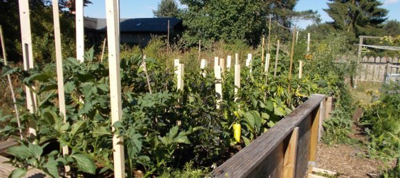 Casa de 11 divisões em Uckermark, Germany N.º 277919 5