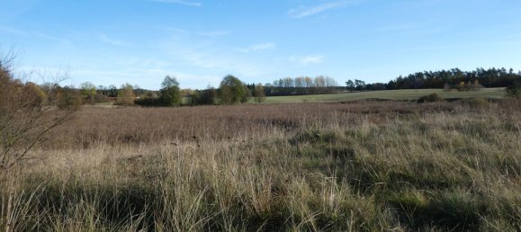 Casa de 11 divisões em Uckermark, Germany N.º 277919 23