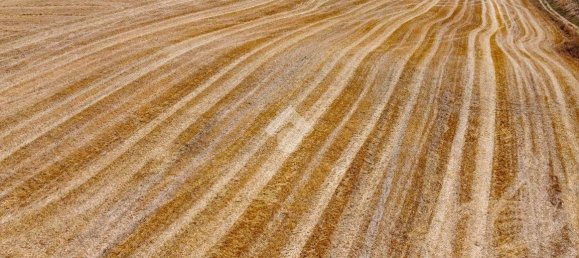 Terreno en Tarquinia, Italy 174791 m² No. 295331 5