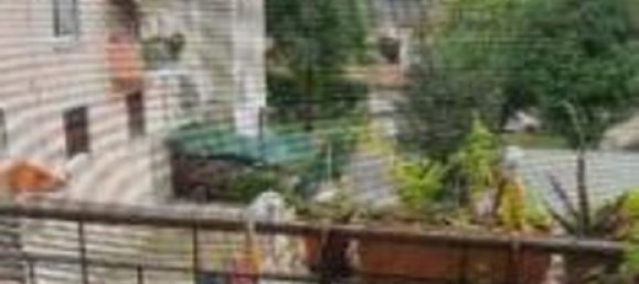 3-salle Appartement à Biandronno, Italy No. 8425 6