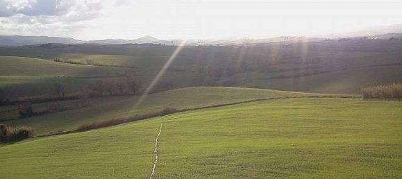 8 rooms House in Orciano Pisano, Italy No. 51070 20