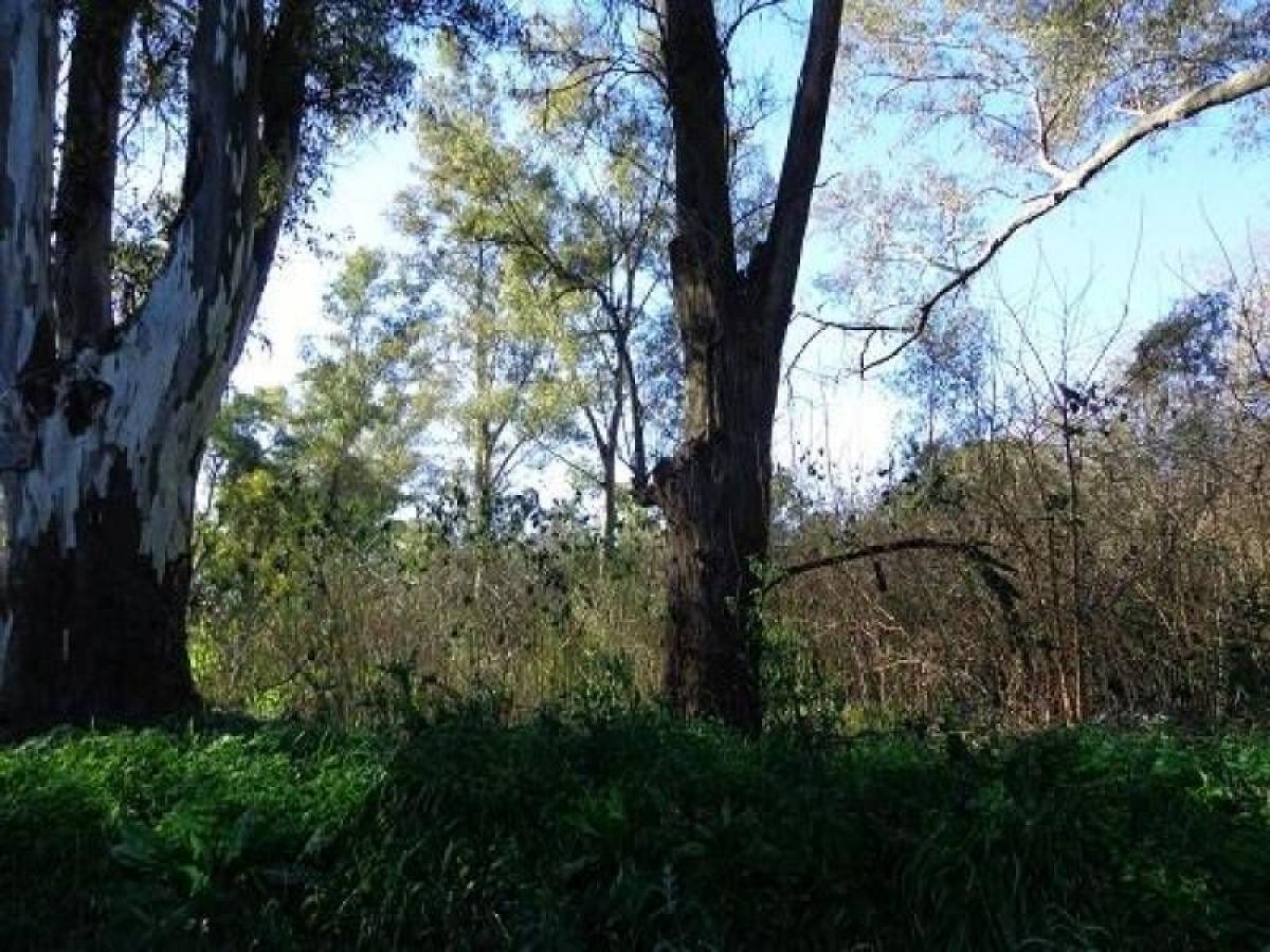  Land in Pilar, Argentina No. 43081