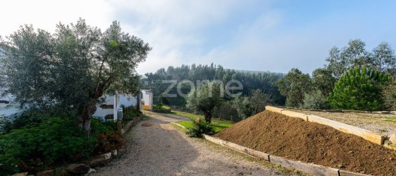 9 Schlafzimmer Haus in Tomar, Portugal, Nr. 125236 6