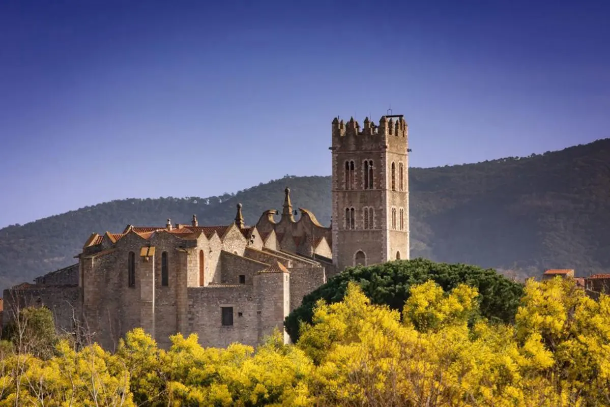 667m² Land in Ille-sur-Tet, France No. 344458