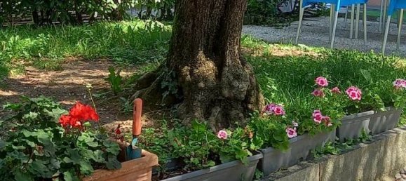 Дом с 4 спальнями в Бренна, Италия № 354870 24