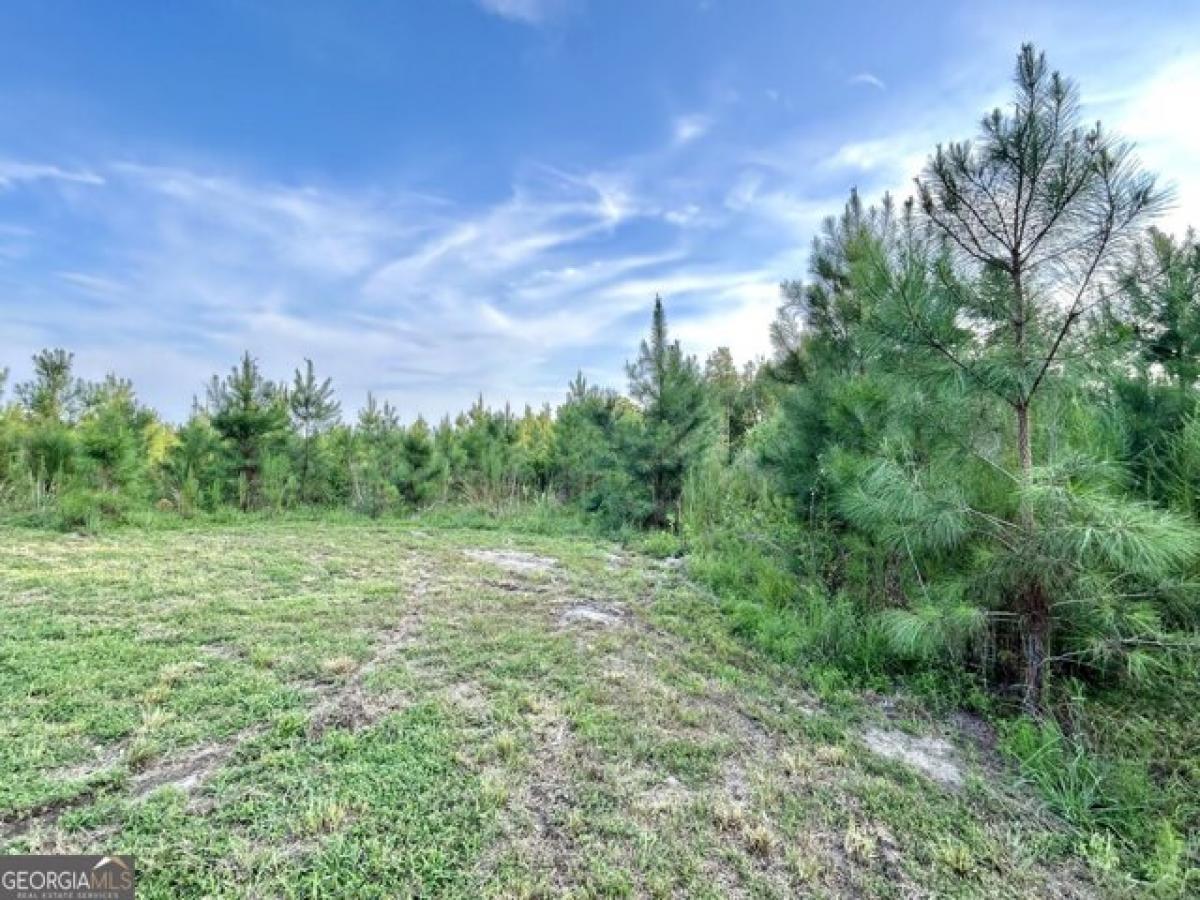 Grundstück in Soperton, USA, Nr. 519766