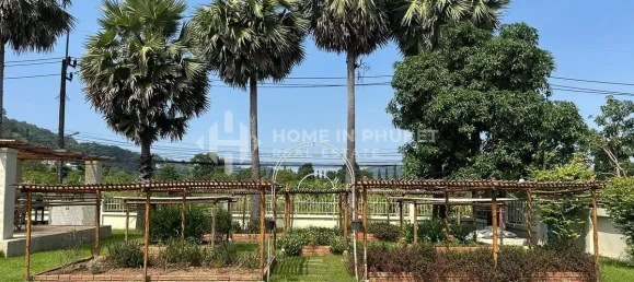 5 Schlafzimmer Haus in Chalong, Thailand, Nr. 143455 27