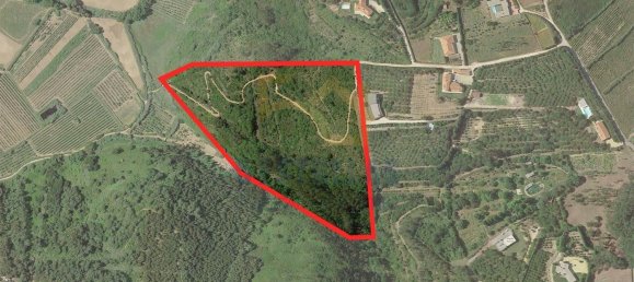 Terrain à Ericeira, Portugal 57188m² No. 84750 7