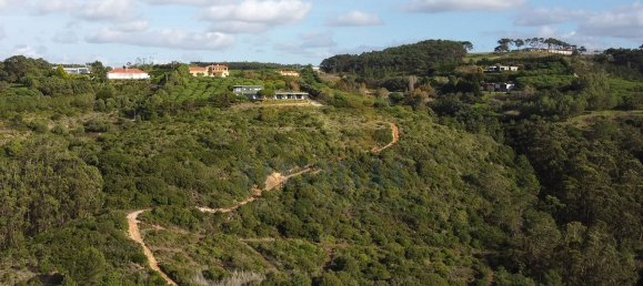 Terrain à Ericeira, Portugal 57188m² No. 84750 8