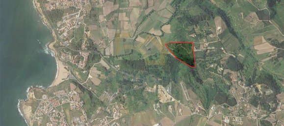 Terrain à Ericeira, Portugal 57188m² No. 84750 13