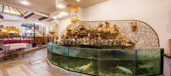 5-Zimmer Gewerbliche Immobilie in Turin, Italy, Nr. 194819 20