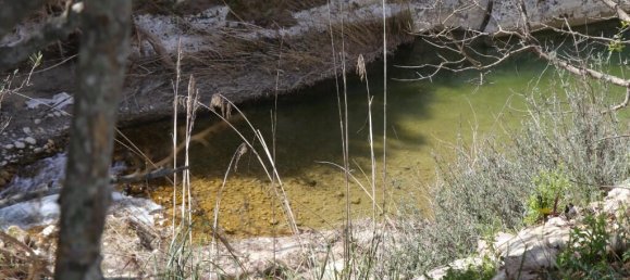 1 bedroom Land in Noto, Italy No. 145726 9