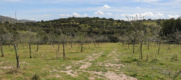 1 bedroom Land in Noto, Italy No. 145726 5