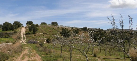 1 bedroom Land in Noto, Italy No. 145726 13