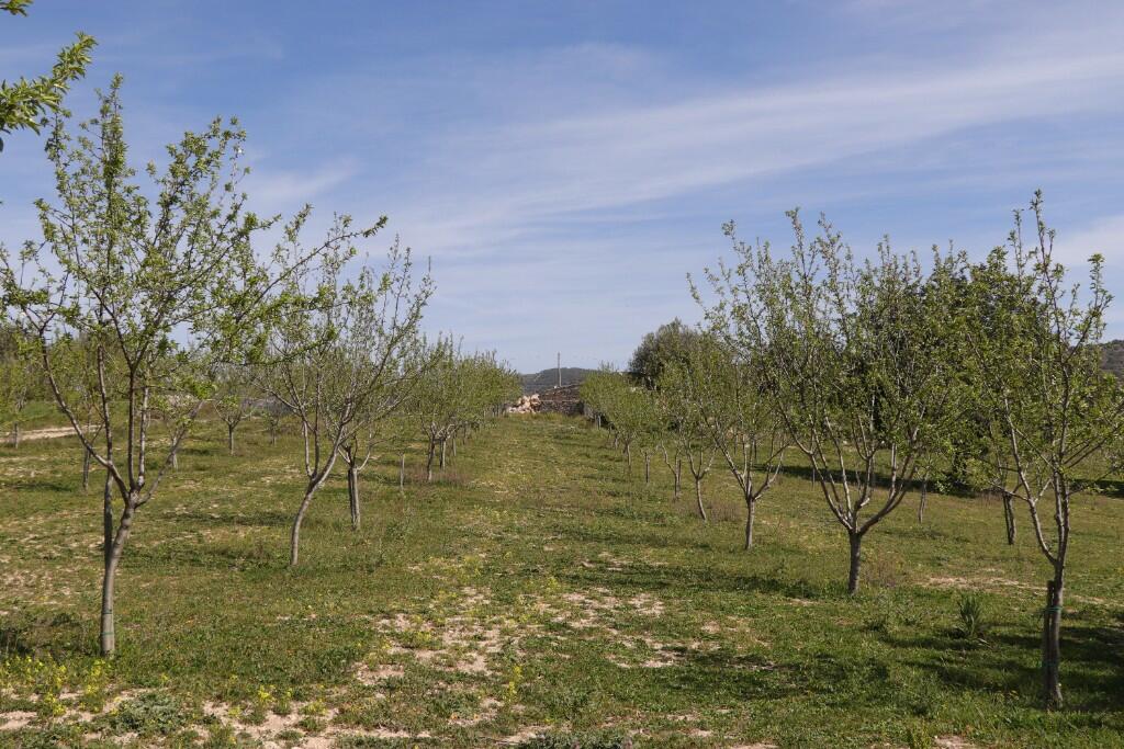 1 bedroom Land in Noto, Italy No. 145726