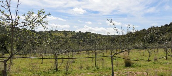 1 bedroom Land in Noto, Italy No. 145726 2