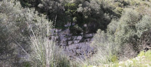 1 bedroom Land in Noto, Italy No. 145726 15