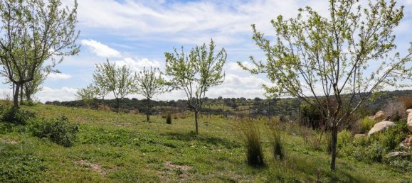 1 bedroom Land in Noto, Italy No. 145726 14