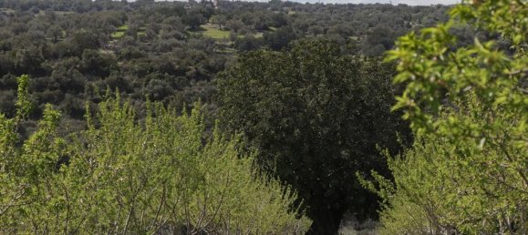 1 bedroom Land in Noto, Italy No. 145726 10