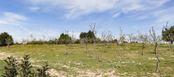 1 bedroom Land in Noto, Italy No. 145726 17