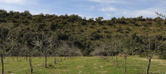 1 bedroom Land in Noto, Italy No. 145726 11