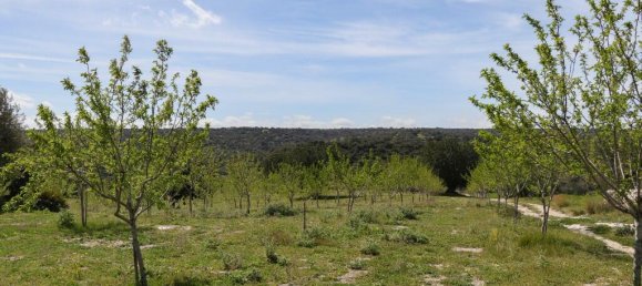 1 bedroom Land in Noto, Italy No. 145726 12