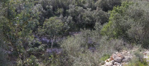 1 bedroom Land in Noto, Italy No. 145726 16