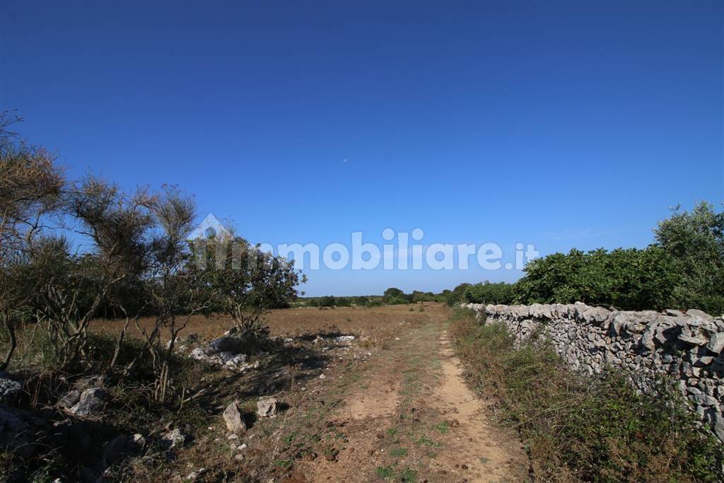 Grundstück in Martina Franca, Italy 8000m², Nr. 343013