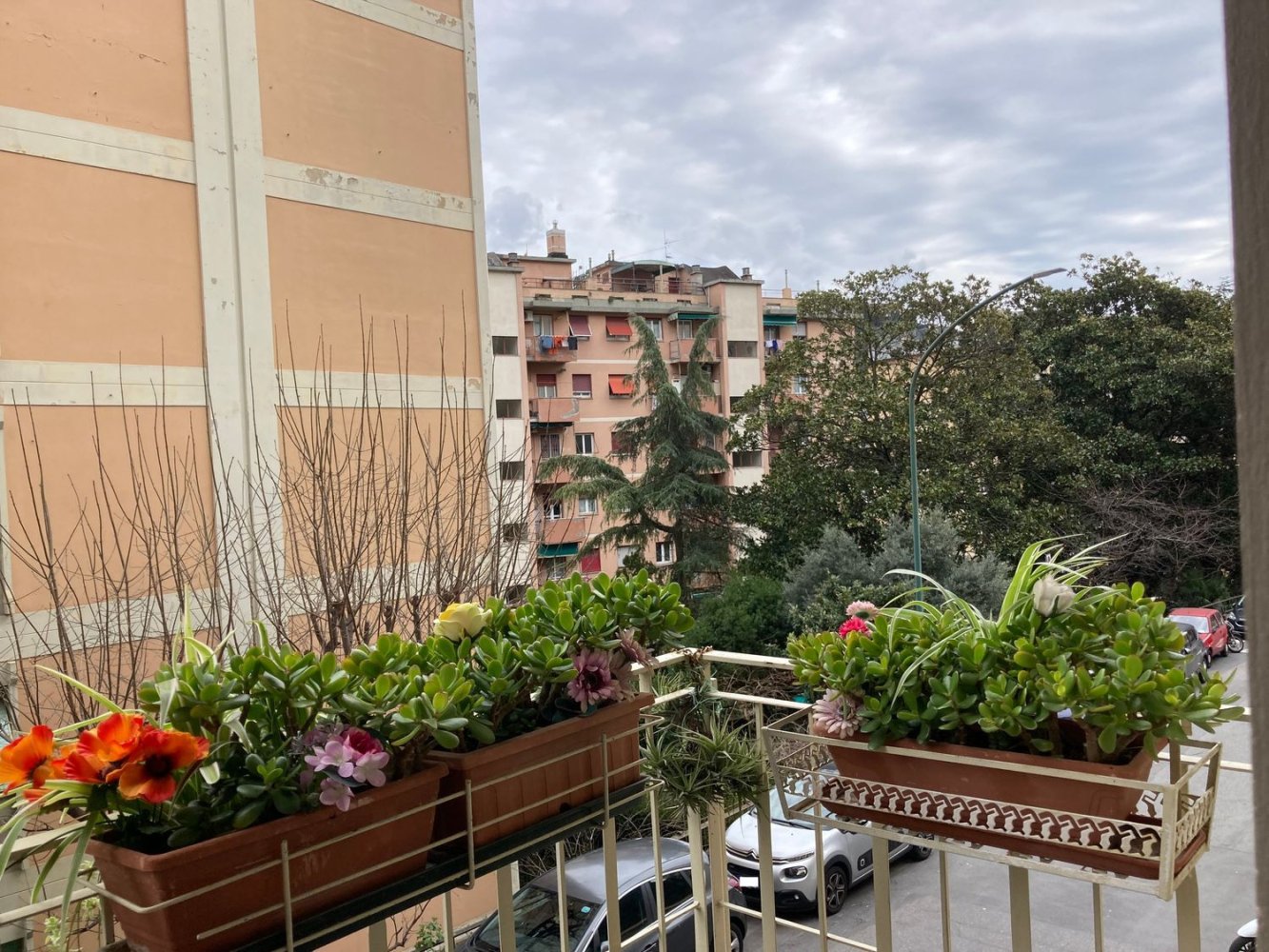 4 rooms Apartment in Genoa, Italy No. 166948