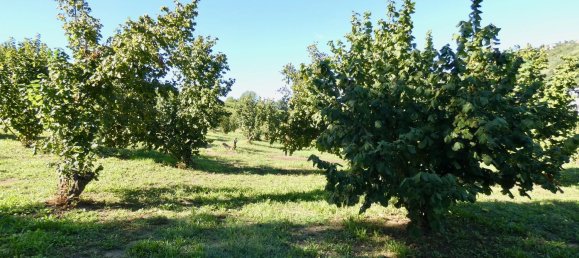 11 chambres Maison à Santo Stefano Belbo, Italy No. 323788 23