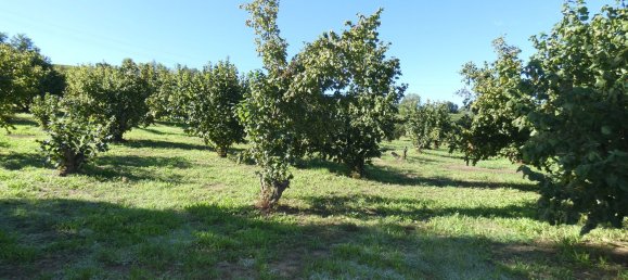 11 chambres Maison à Santo Stefano Belbo, Italy No. 323788 22