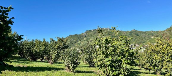 11 chambres Maison à Santo Stefano Belbo, Italy No. 323788 21
